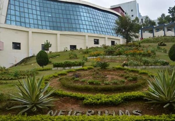 Neigrihms