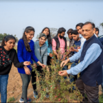 K.R. Mangalam University Gurgaon