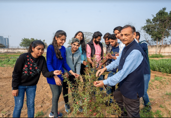 K.R. Mangalam University Gurgaon