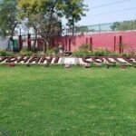 Rajdhani College
