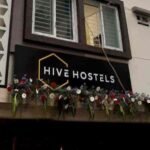 Hive Hostels